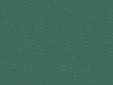 Standard 290/Canvas Extra R 117, kaktee