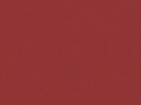 Canoso 262 605, ladybird