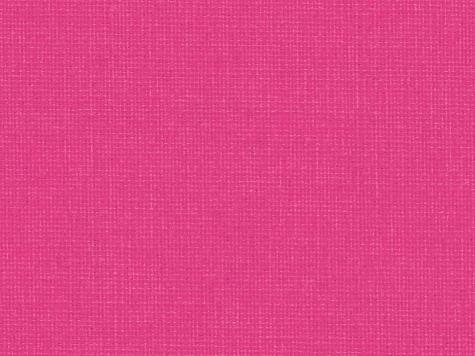 Canoso 262 613, flamingo