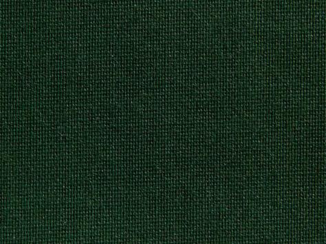 Standard 290/Canvas Extra R 2130, dunkelgrün