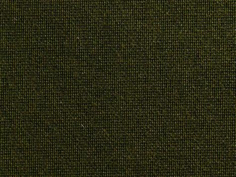 Standard 290/Canvas Extra R 2137, dunkeloliv