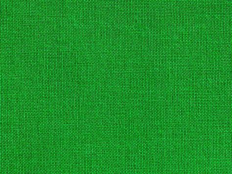 Iris/Cialux 1537, grasgrün
