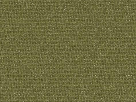 EuroBuckram 404 515, meadow