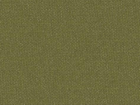 EuroBuckram 404 515, meadow