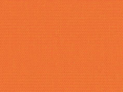 Frankonia 190® 775, nektarine