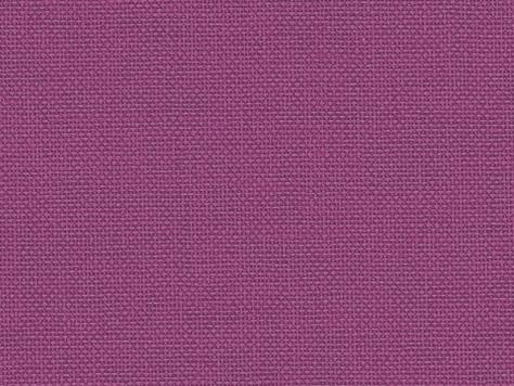 Iris/Cialux 814, rotlila