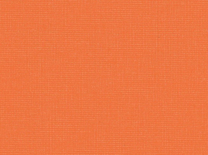 Canoso 262 607, goldfish