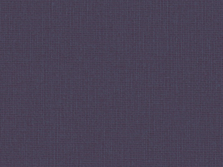 Canoso 262 610, mazarine