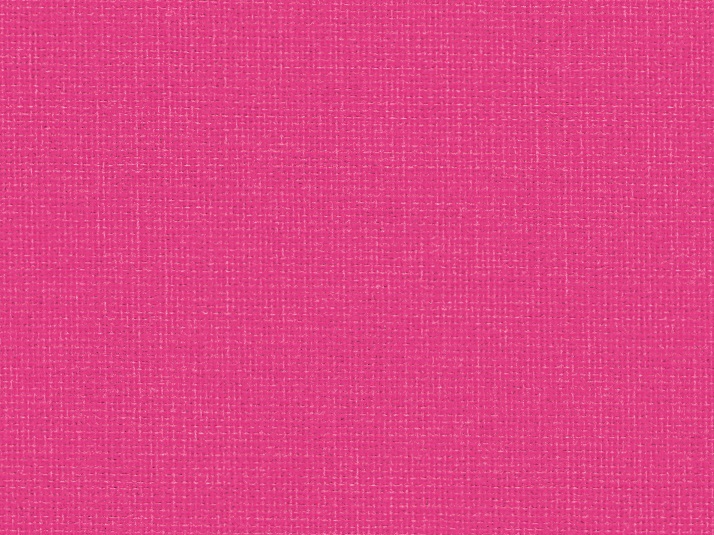 Canoso 262 613, flamingo