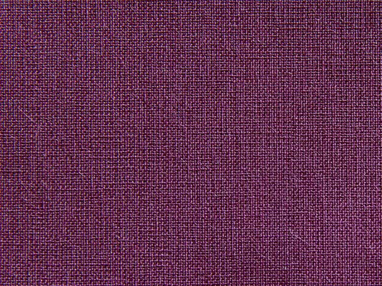 Iris/Cialux 1816, flieder