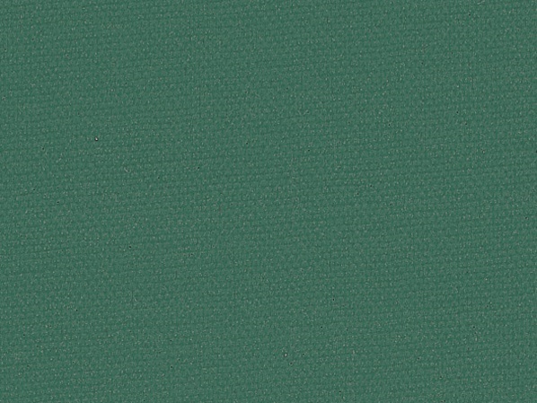Standard 290/Canvas Extra R 117, kaktee