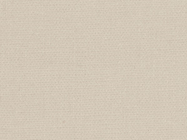 Standard 290/Canvas Extra R 157, perlgrau